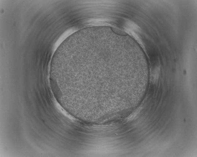 X0000077291386200611171616