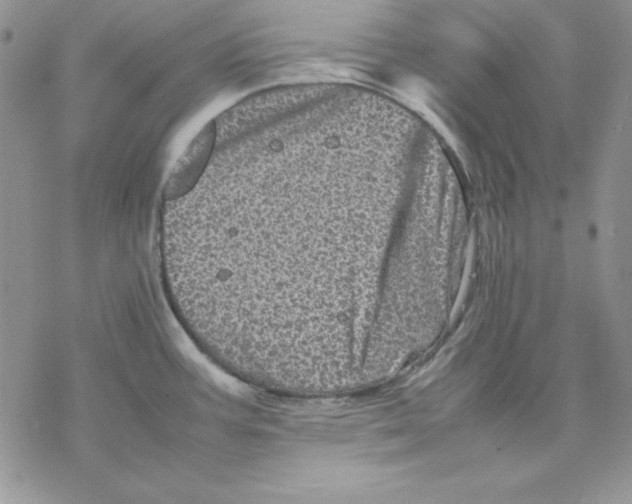 X0000077291387200611171616