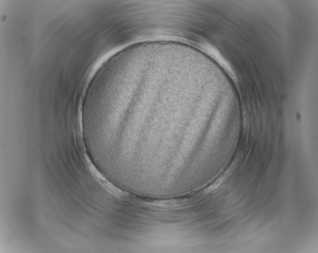 X0000077291388200611171616