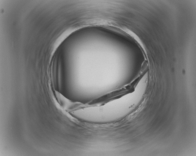 X0000077291389200611171616