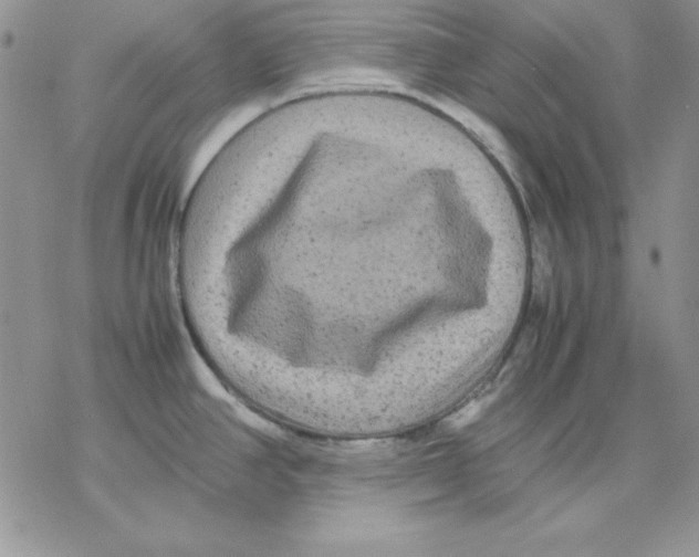 X0000077291390200611171616