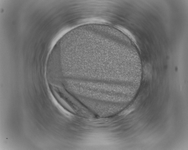 X0000077291391200611171616