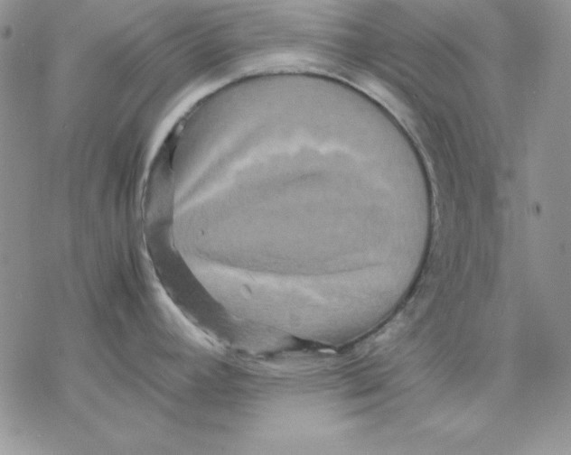 X0000077291392200611171616