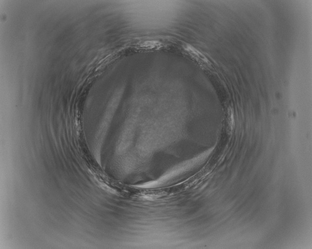 X0000077291394200611171615