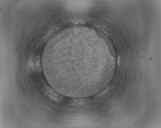 X0000077291396200611171615