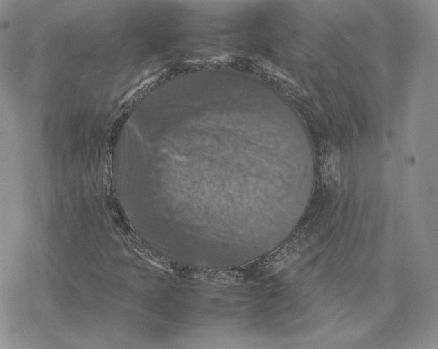 X0000077291397200611171615