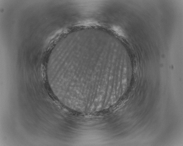 X0000077291398200611171615