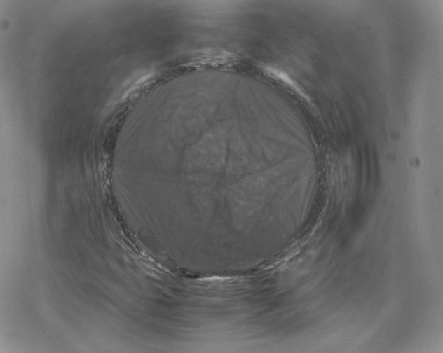 X0000077291399200611171615