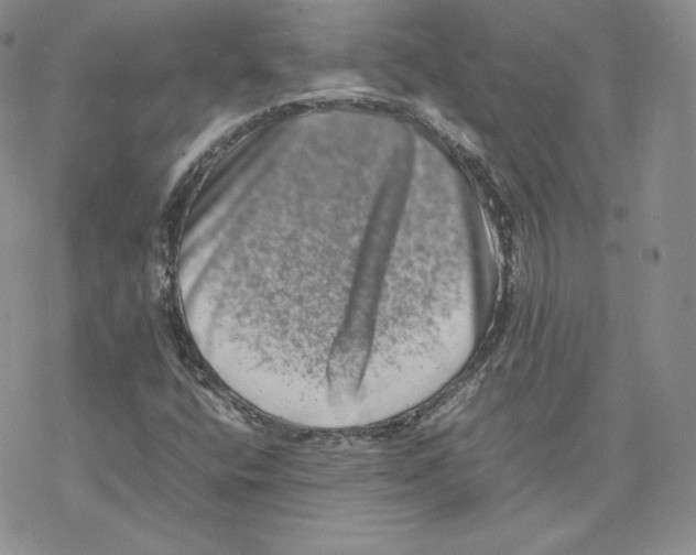 X0000077291400200611171615