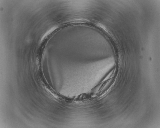 X0000077291402200611171615