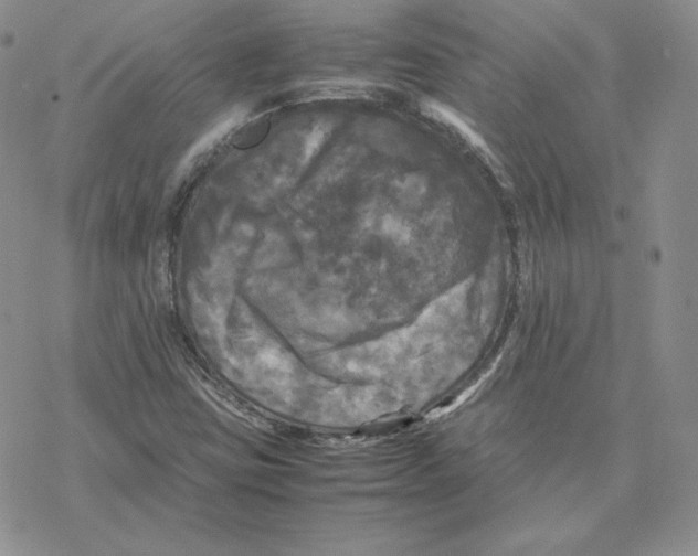 X0000077291403200611171615