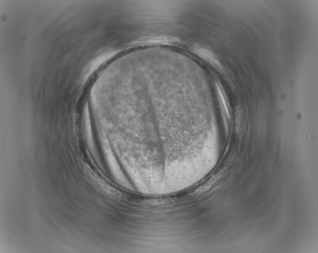 X0000077291404200611171615