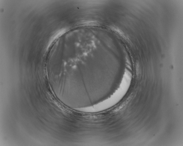 X0000077291405200611171615