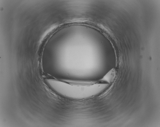 X0000077291406200611171616