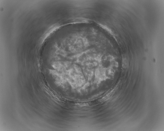 X0000077291407200611171616