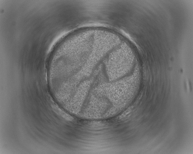 X0000077291408200611171616