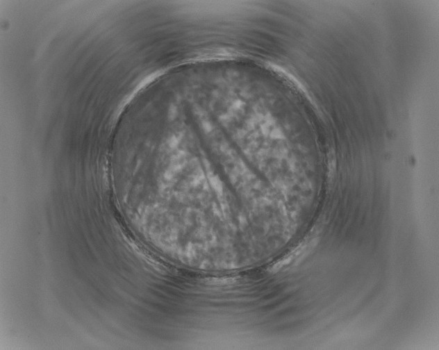 X0000077291409200611171616