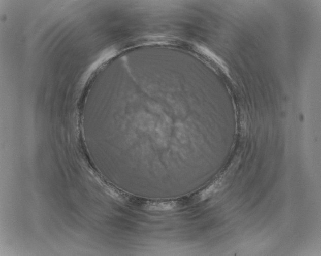 X0000077291411200611171616