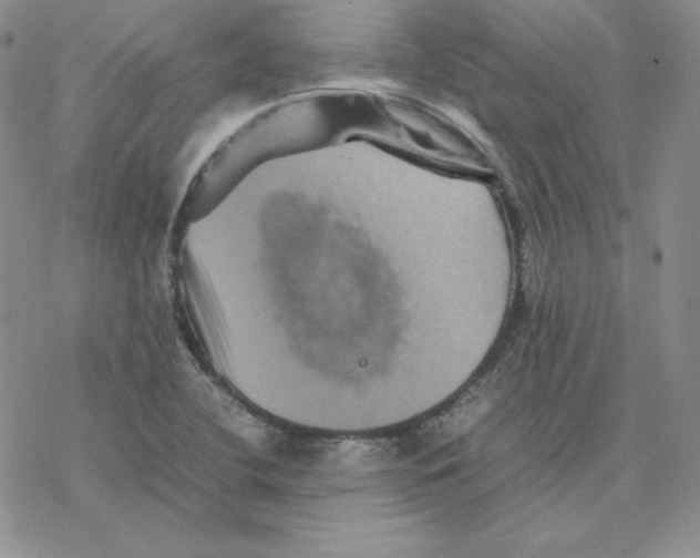 X0000077291412200611171616