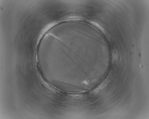 X0000077291413200611171616