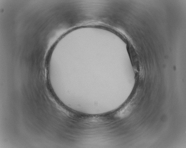 X0000077291414200611171616