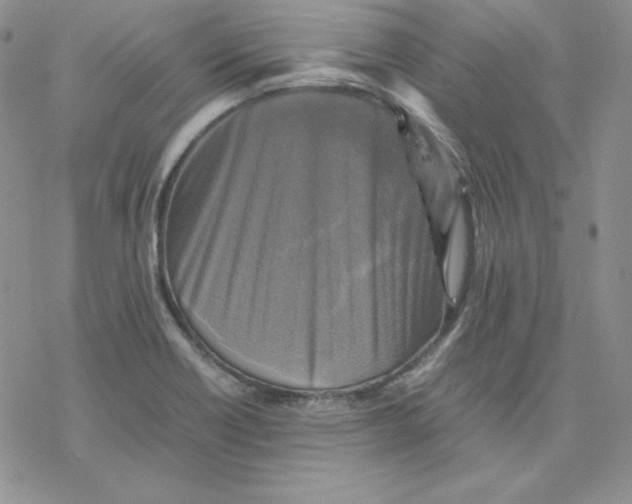 X0000077291418200611171616