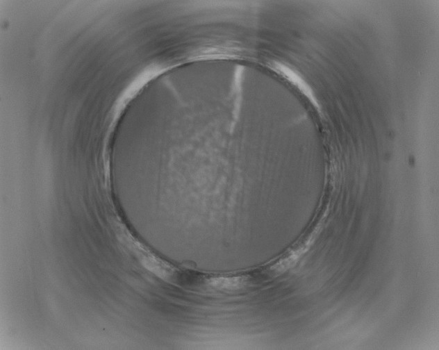 X0000077291419200611171616