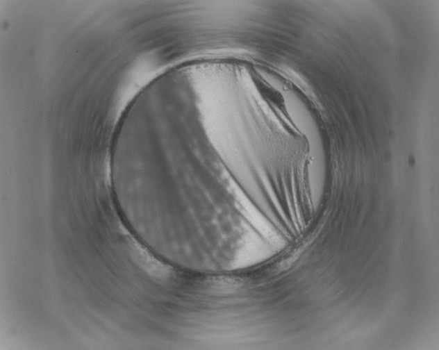 X0000077291420200611171616