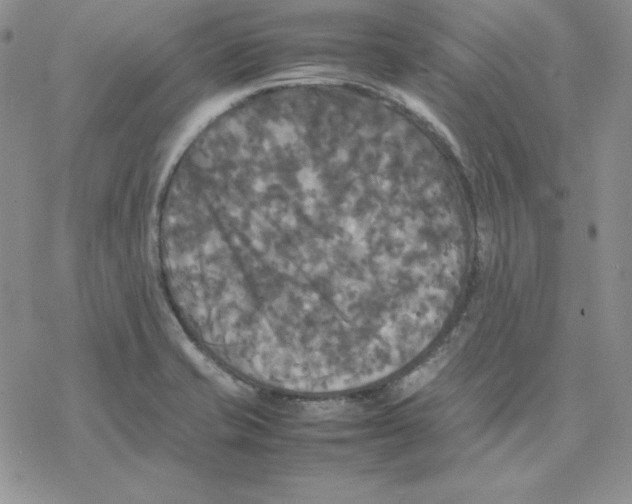 X0000077291421200611171616