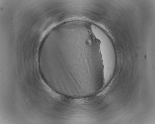 X0000077291422200611171616