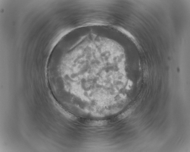 X0000077291423200611171616