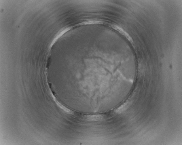 X0000077291425200611171616