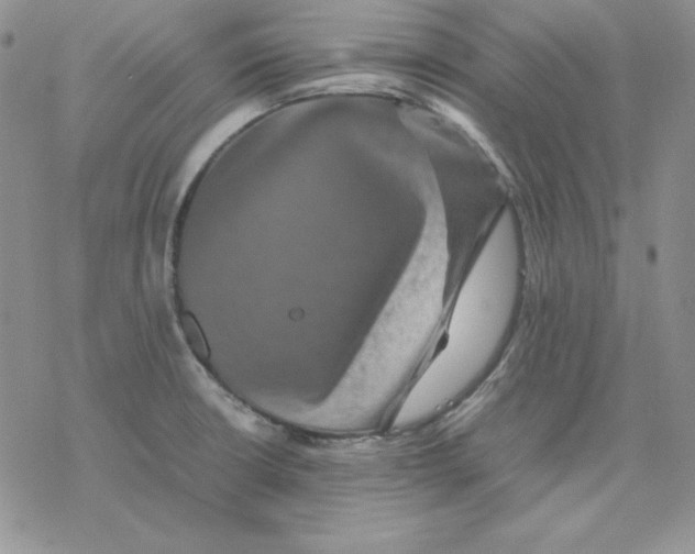 X0000077291426200611171616