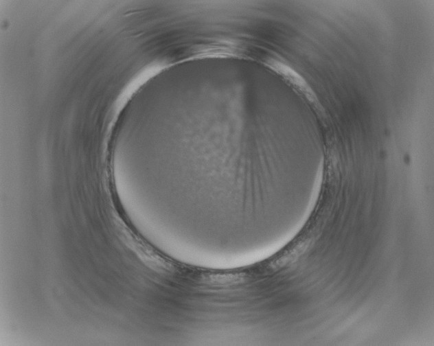 X0000077291427200611171616