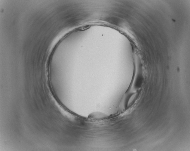 X0000077291430200611171616