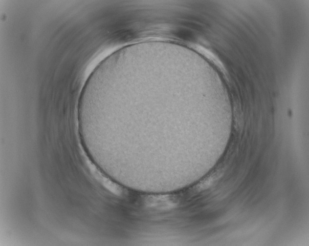 X0000077291431200611171616