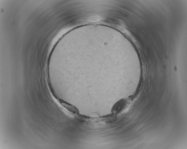 X0000077291432200611171616