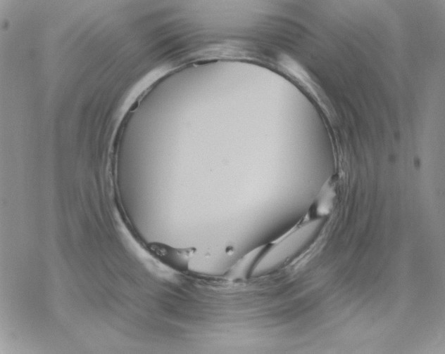 X0000077291434200611171616