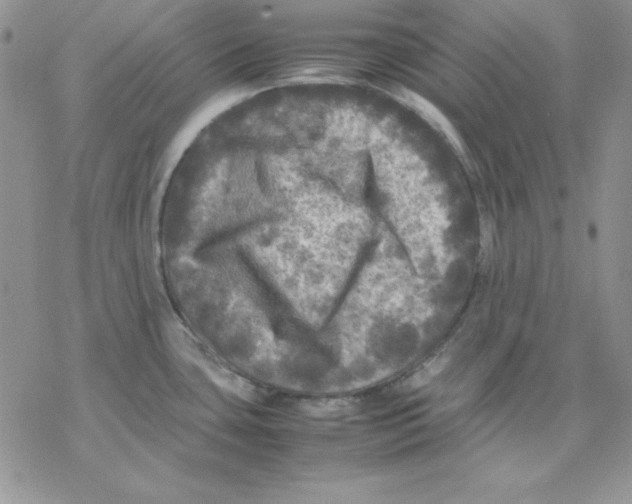 X0000077291435200611171616