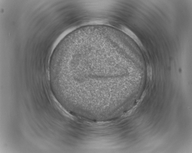 X0000077291436200611171616