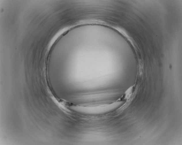 X0000077291438200611171616