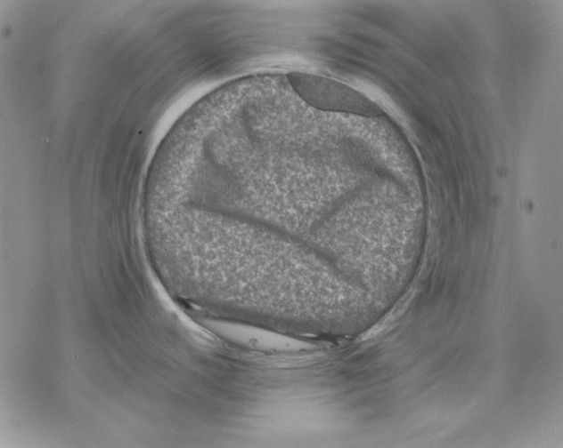 X0000077291440200611171616