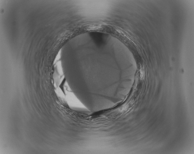 X0000077291441200611171615