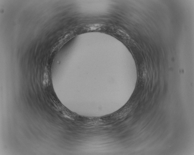 X0000077291442200611171615