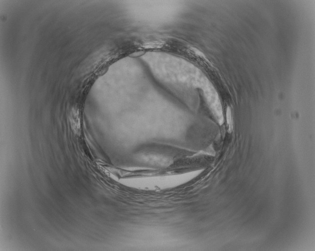 X0000077291443200611171615