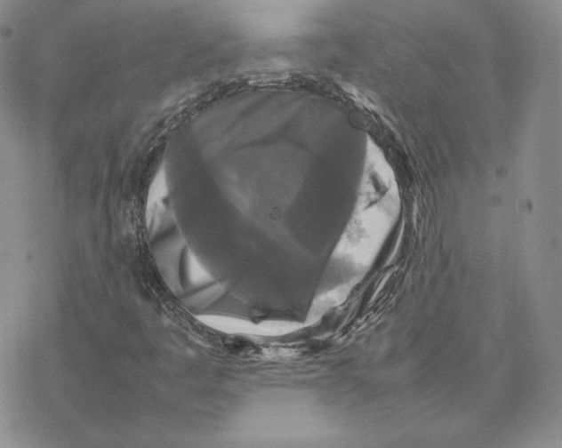 X0000077291445200611171615