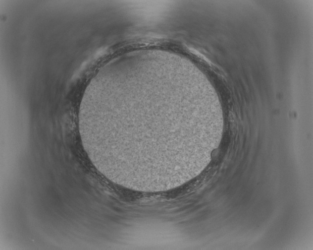 X0000077291447200611171615