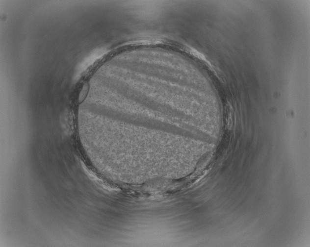 X0000077291448200611171615