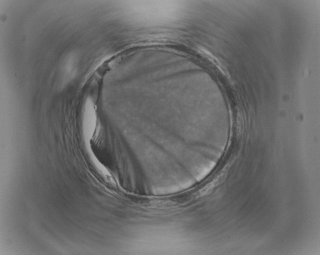 X0000077291449200611171615