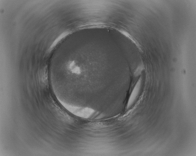 X0000077291450200611171615